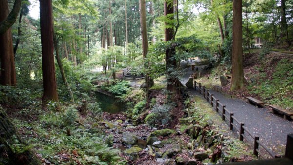 camp29 (193).jpg